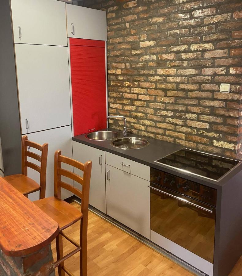 בלגרד Twin Studio Apartments Zemun מראה חיצוני תמונה