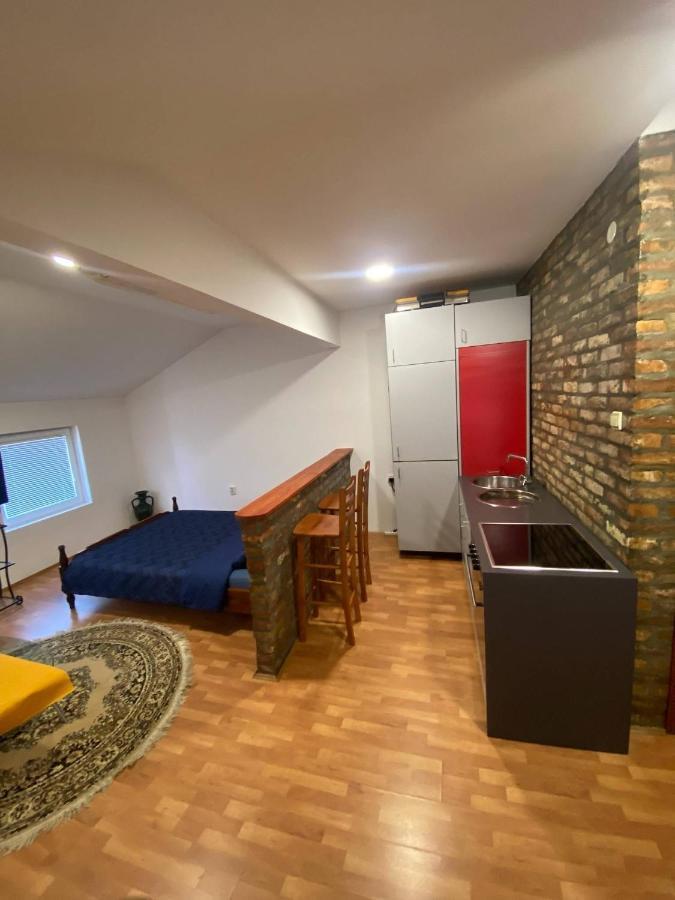 בלגרד Twin Studio Apartments Zemun מראה חיצוני תמונה
